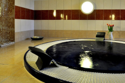 Wellness